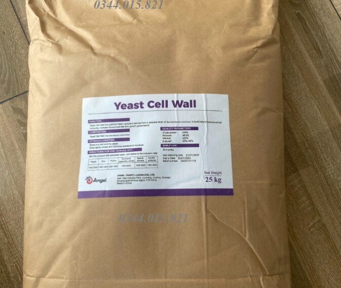 Betaglucan Yeast Cell Wall, Vách tế bào nấm men, Saccharomyces cerevisiae
